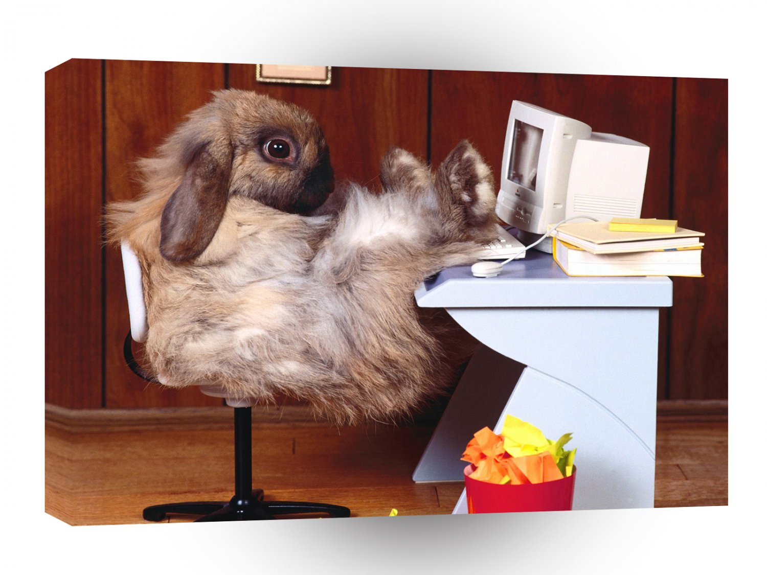Rabbit Surfing The Net A1 Xlarge Canvas