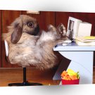 Rabbit Surfing The Net A1 Xlarge Canvas