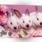 Rabbit Threes A Crowd A1 Xlarge Canvas