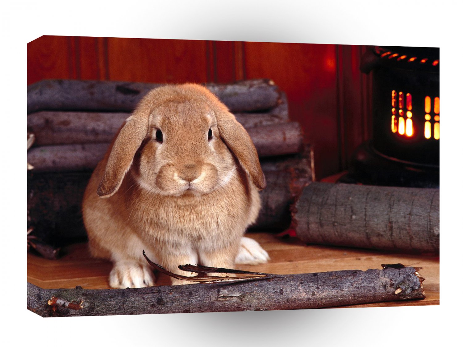 Rabbit Winter Hare A1 Xlarge Canvas