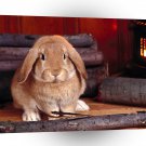 Rabbit Winter Hare A1 Xlarge Canvas