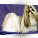 Shih Tzu Perfect Hair Day Champion A1 Xlarge Canvas