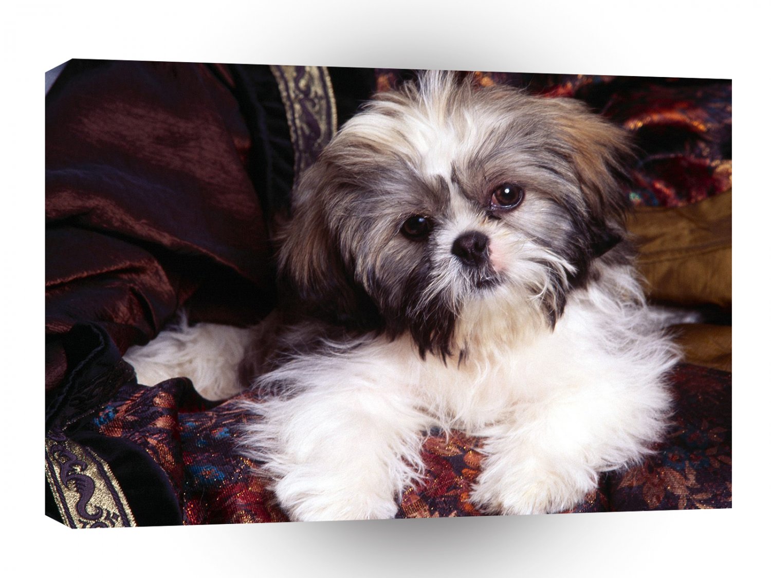Shih Tzu Rascal Hound A1 Xlarge Canvas