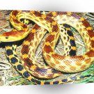 Snake In Mix A1 Xlarge Canvas