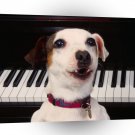 Terriers Ludwig Van Barkthoven Jack Russell A1 Xlarge Canvas