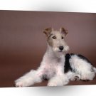Terriers Perfect Pose Wirehaired Fox A1 Xlarge Canvas