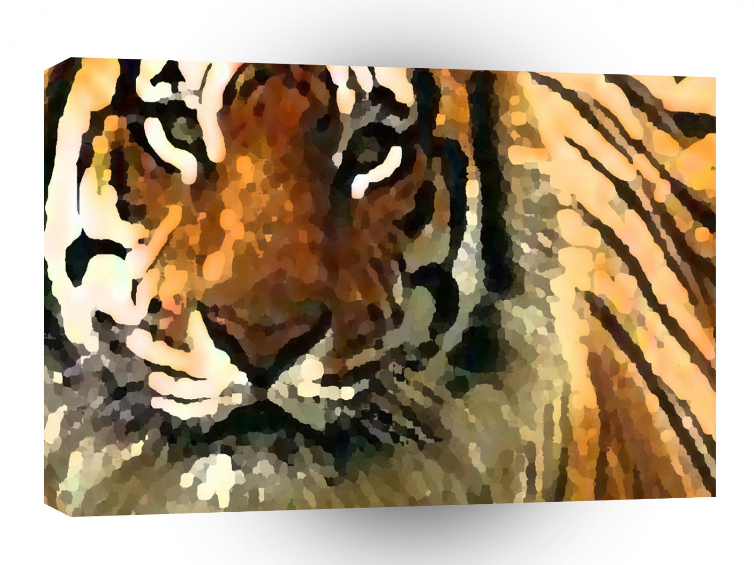 Tiger Abstracted View A1 Xlarge Canvas