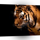 Tiger Eyes Of Prey A1 Xlarge Canvas