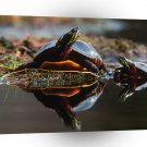 Turtle Family Bond A1 Xlarge Canvas