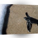 Turtle First Swim Kona Hawaii A1 Xlarge Canvas