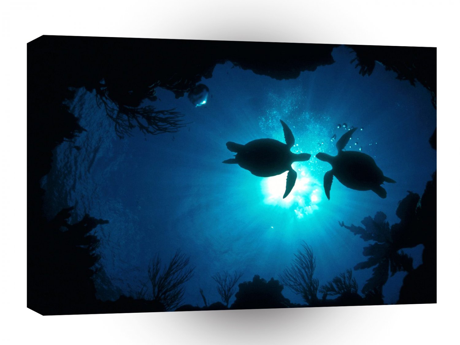 Turtle Oceanic Tranquility Water A1 Xlarge Canvas