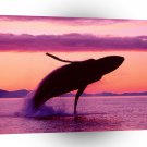 Whale Flight Humpback Alaska A1 Xlarge Canvas