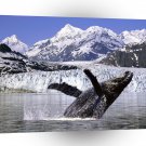 Whale Humpback Alaska A1 Xlarge Canvas