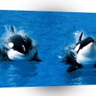 Whale Treading Water Killer A1 Xlarge Canvas