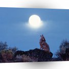 Wolf Coyote Howling Under Moon A1 Xlarge Canvas