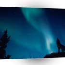 Wolf Evening Howl A1 Xlarge Canvas
