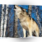 Wolf Morning Howl Howling A1 Xlarge Canvas