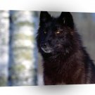 Wolf Predatory Eyes Black A1 Xlarge Canvas