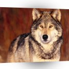 Wolf Spirit Of The A1 Xlarge Canvas