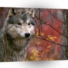 Wolf The Lookout Gray A1 Xlarge Canvas