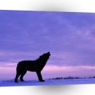Wolf Twilight Howl Black A1 Xlarge Canvas