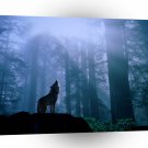 Wolf Warming Up For The Nights A1 Xlarge Canvas