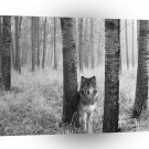 Wolf Watchful Eyes Wild A1 Xlarge Canvas