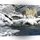 Wolf Winter Creek Fishing A1 Xlarge Canvas