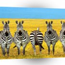 Zebra Dare To Be Different A1 Xlarge Canvas
