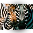 Zebra Natural Pattern A1 Xlarge Canvas