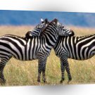 Zebra Serengeti Love Burchell A1 Xlarge Canvas