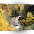 Autumn Color Coquille River Oregon A1 XLarge Canvas