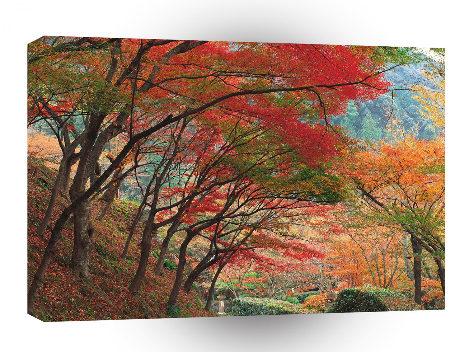 Autumn Down Garden Path A1 XLarge Canvas