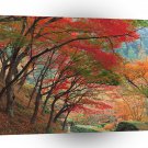 Autumn Down Garden Path A1 XLarge Canvas
