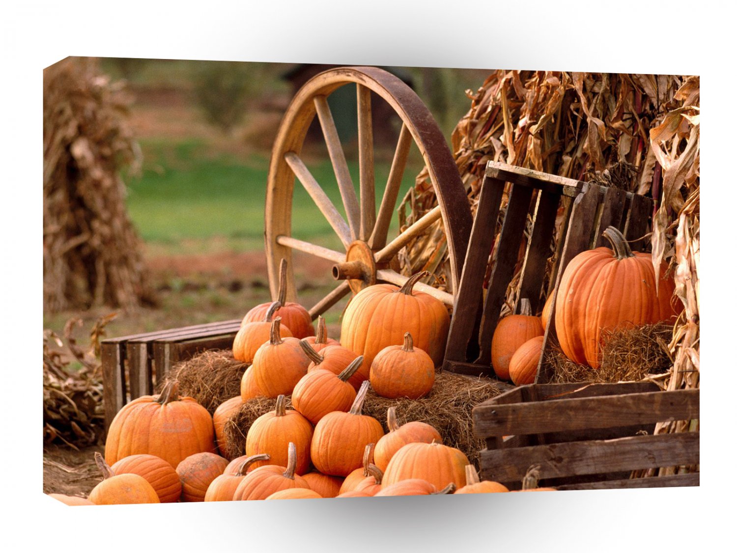 Autumn Harvest A1 XLarge Canvas