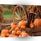 Autumn Harvest A1 XLarge Canvas