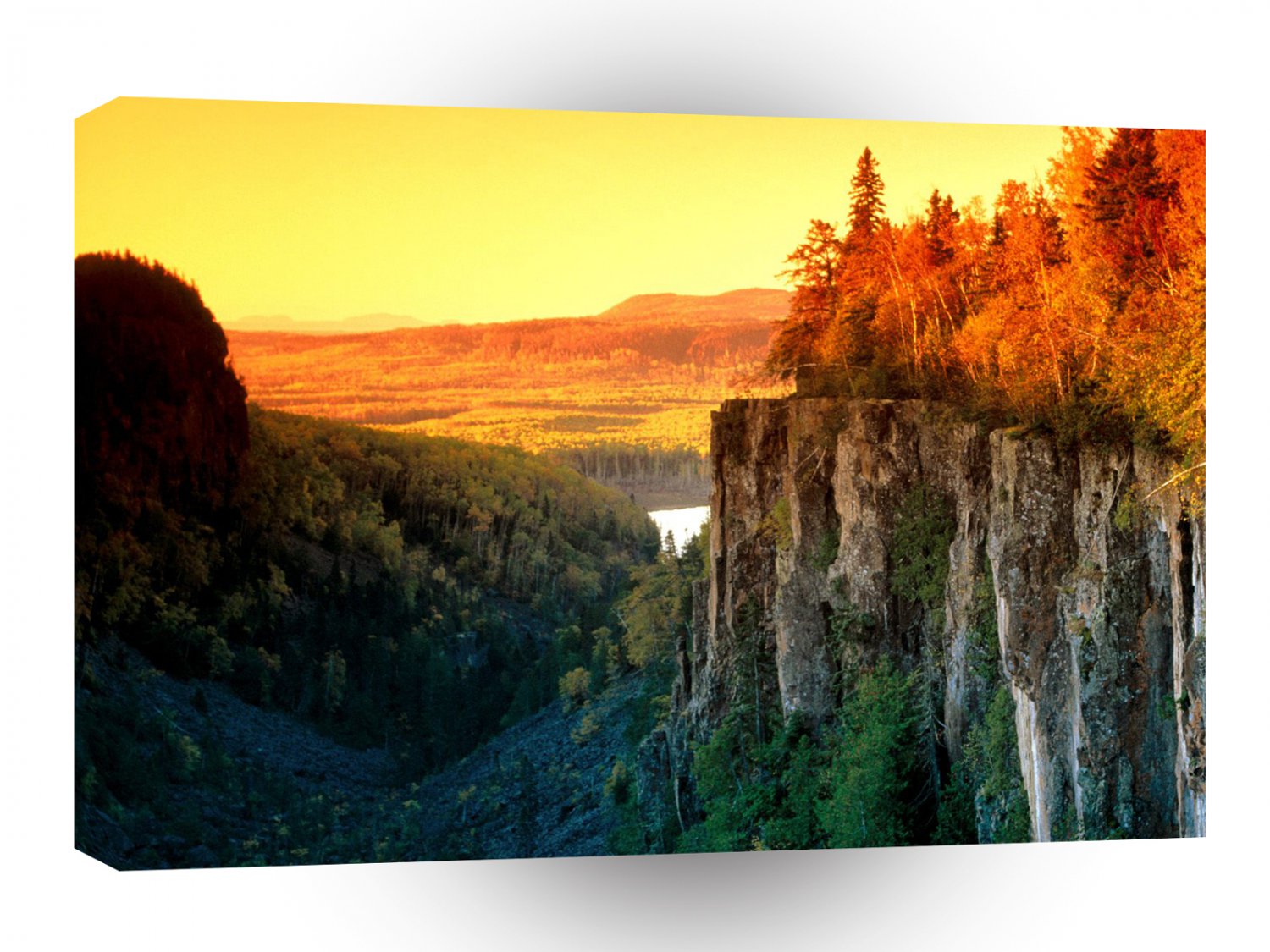 Autumn Light Canada A1 XLarge Canvas