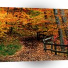 Autumn Mccormick Creek State Park Indiana A1 XLarge Canvas