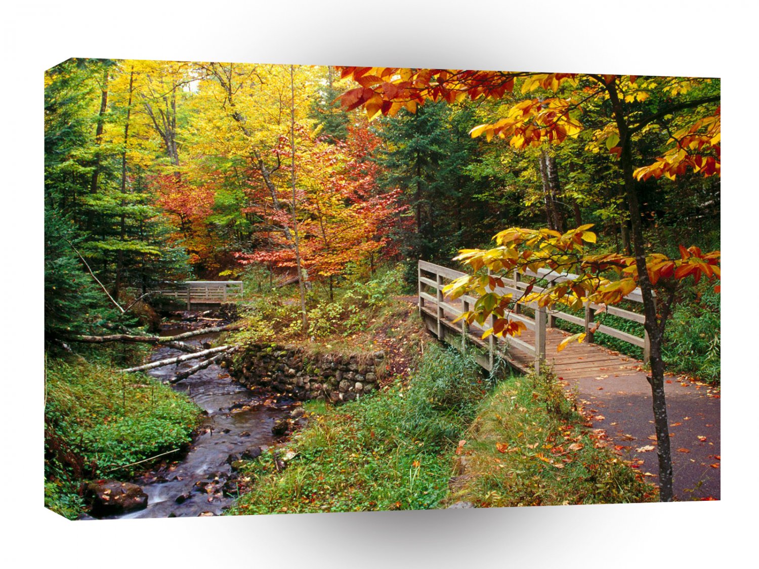 Autumn Munising Trail Alger County Michigan A1 XLarge Canvas