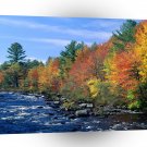 Autumn Of New England A1 XLarge Canvas