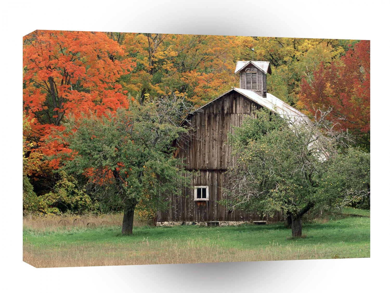 Autumn Rustic Barn Leelanau County Michigan A1 XLarge Canvas