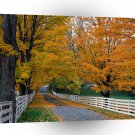 Autumn Scenic Backroad New Hampshire A1 XLarge Canvas