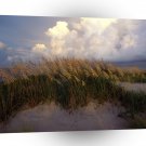 Beach Cape Hatteras Seashore A1 XLarge Canvas