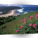 Beach Cascade Head A1 XLarge Canvas