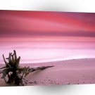 Beach Chesapeake Bay Purple Sky A1 XLarge Canvas