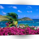 Beach French Cul De Sac Saint Martin A1 XLarge Canvas