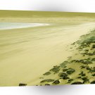 Beach Golden Sand A1 XLarge Canvas