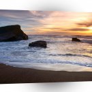 Beach Greyhound Rock Beach Santa Cruz A1 XLarge Canvas