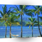 Beach Hammock Kauai Hawaii A1 XLarge Canvas