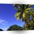 Beach Paria Trinidad A1 XLarge Canvas